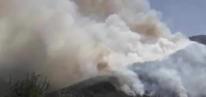 Son dakika: Denizli’de orman yangını! Havadan ve karadan müdahale ediliyor