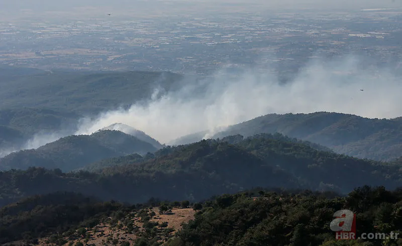 İzmir orman yangını son durum | İzmir yangın son dakika söndürüldü mü? 1