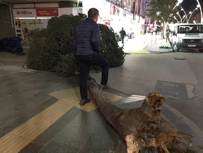 Tokat'ta çıkan fırtına ağaçları kökünden söktü - 2