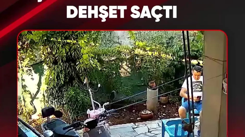 ÇOCUKLARIN ÖNÜNDE DEHŞET SAÇTI