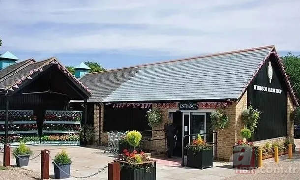 Kate Middleton bulundu mu? 83 gün sonra ortaya çıktı, kimse inanmadı! Görüntülerdeki kişi kim? 6