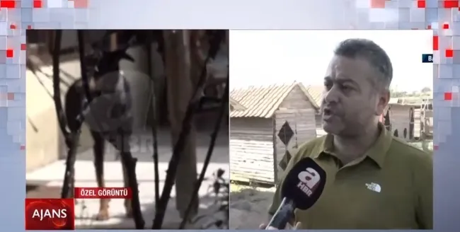 Doberman cinsi eğitimli köpek Tina eve döndü! Kayıp ekonomist Berzeg’in köpeğini A Haber görüntüledi