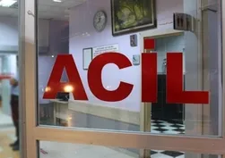 İstanbul'un kurban kesim bilançosu açıklandı: 767 kişi hastanelik oldu