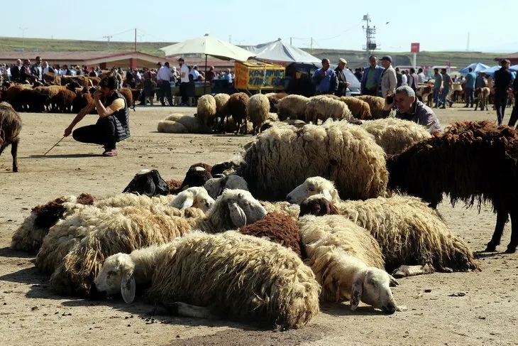 Bayram tatili kaç gün, 9 gün mü olacak? 15 Temmuz ile Kurban Bayramı tatili birleşecek mi? 13-14 Temmuz tatil olacak mı?