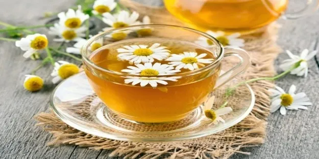 Papatya çayı neye iyi gelir? İşte bilinmeyen faydaları...