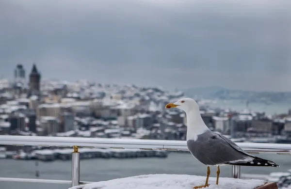 Kar uyarısı son dakika | Meteorolojiden dikkat çeken uyarı! 26 Mart Cumartesi hava durumu - 2
