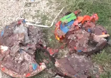 Adana’da ormanlarda katı atık felaketi