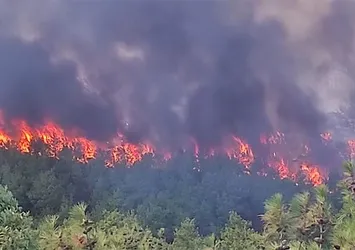 Çanakkale'de orman yangını! Havadan ve karadan müdahale