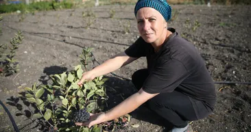 İstanbul’dan kaçtı hayatı değişti! Şimdi ihracat yapmaya hazırlanıyor