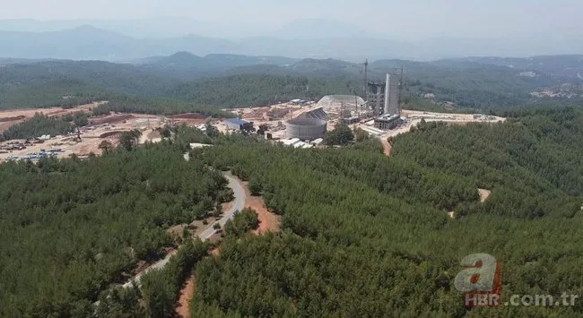 CHP’li Muğla Menteşe Belediyesi’nin orman katliamına mahkeme "dur" dedi! Hukuka aykırı 4