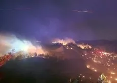 Adana’da anız yangını ormana sıçradı!