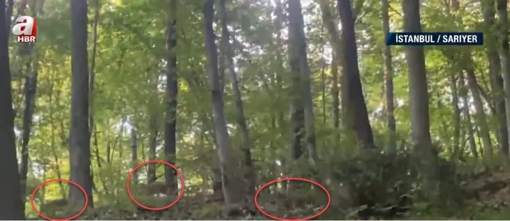 Piknikçiler neye uğradığını şaşırdı! Belgrad Ormanı’nda panik anları... A Haber görüntüledi