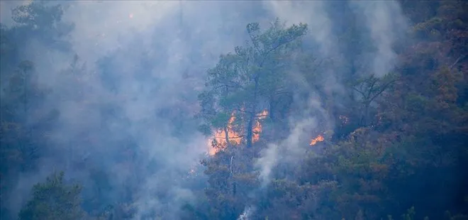 Son dakika: İçişleri Bakanlığından 81 ilin valiliklerine orman yangını uyarısı: Tedbirler tek tek sıralandı