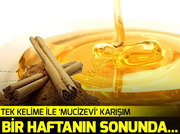 FETÖ soruşturmasında üst düzey gözaltılar - 1