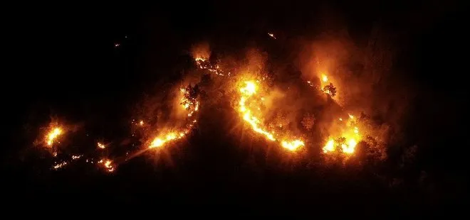 Elazığ'da ormanlık alanda çıkan yangın kontrol altına alındı