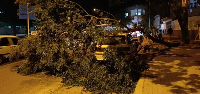 Kahramanmaraş’ta fırtına: Park halindeki otomobilin üzerine ağaç devrildi
