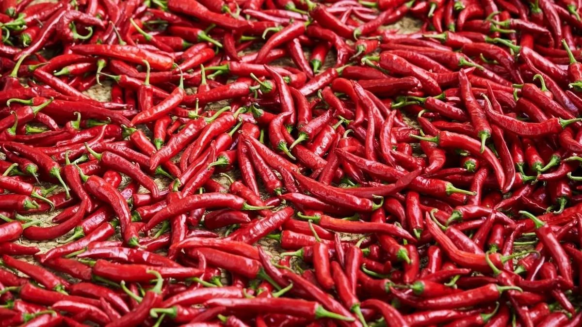 İnsanlar neden acı yemeyi sever? Bilim insanları açıkladı