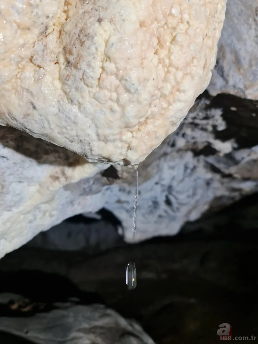 Dünyada sadece 2 yerde vardı: O ilimizde de bulundu! İlaç oalrak kullanılacak 3