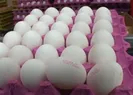 Yumurta sektörüne 2 soruşturma