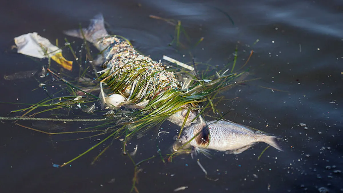 İzmir Körfezi acil eylem planı hazırlandı