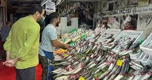 Tezgahlarda palamut ve hamsi bolluğu