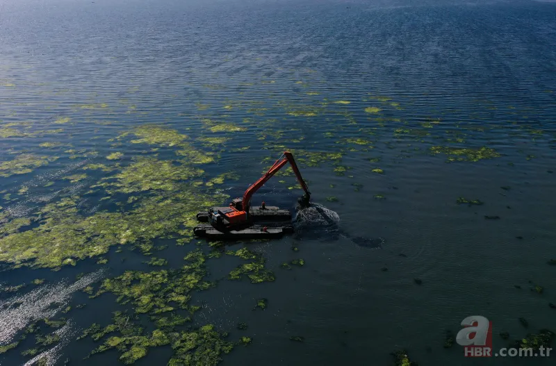 CHP'li Tunç Soyer'in "Yüzülebilir hale gelecek" dediği İzmir Körfezi çevre felaketi uyarısı veriyor 12