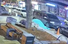 Bu da ağaç hırsızlığı