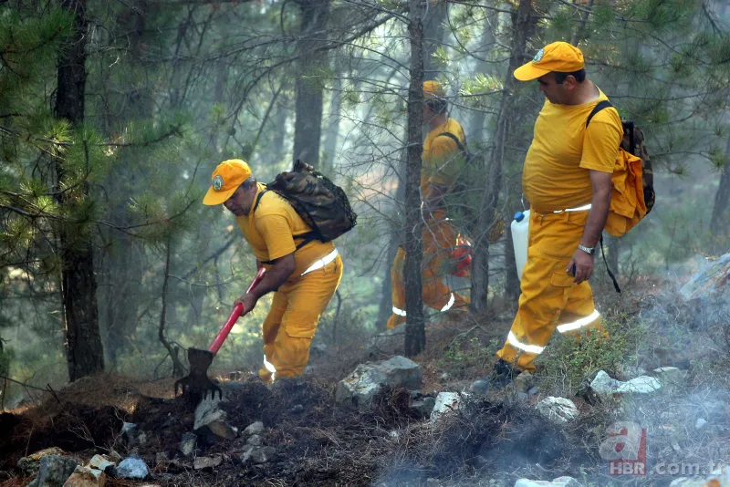 Orman Genel Müdürlüğü mevsimlik işçi alımı 2022 | Bakanlık duyurdu! Karar Resmi Gazete'de! İş arayanlara güzel haber 6
