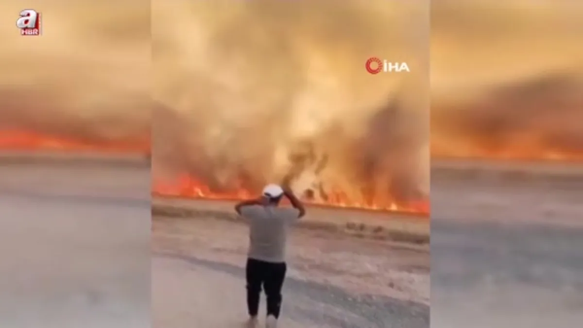 Şanlıurfa'nın Harran ilçesinde 40 dönüm ekili arazi yandı