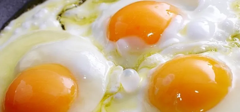 Yumurtanın faydaları nelerdir?