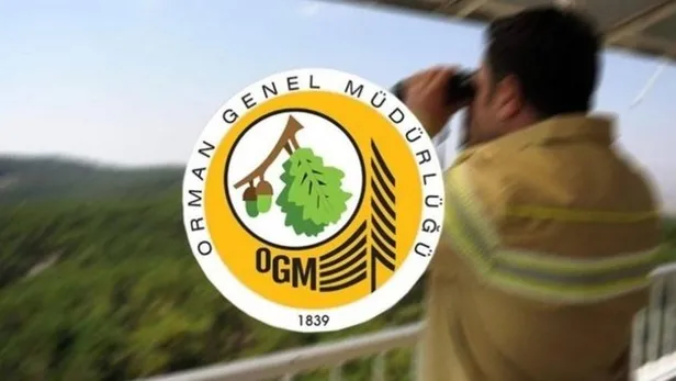 OGM personel alımı başvuru LİNKİ! OGM ve DSİ işçi alımı başvuru şartları açıklandı mı? OGM personel alımı detayları... - 4