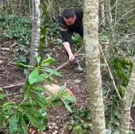 Tuzağa yakalandı! 3 saatte böyle kurtarıldı