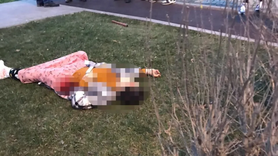 Meryem Yılmaz 15 yerinden bıçaklanarak katledildi! O ayrıntı tüyler ürpertti