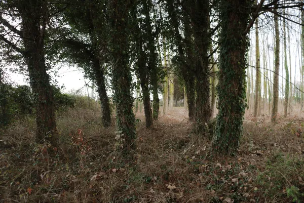 arzu-aygun-cinayetinin-detaylari-ortaya-cikti-son-mesaji-katili-atmis-1611980253281.jpg Arzu Aygün cinayetinin detayları ortaya çıktı! Son mesajı katili atmış - 5