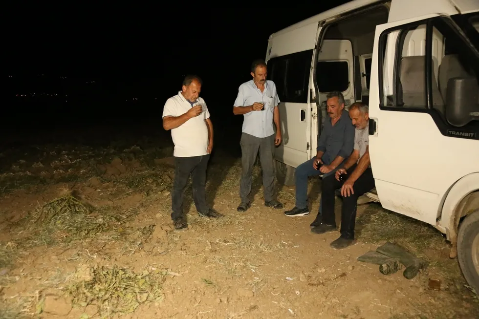 Çiftçilerin "beyaz altın" nöbeti: Taşköprü sarımsağı üreticileri bir yıllık emeklerini korumak için sabaha kadar tarlada bekliyor - 5
