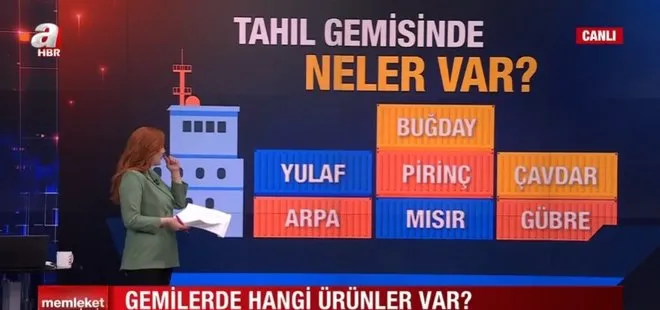 Uzmanlar A Haber’de merak edilenleri yanıtladı: Tahıl gemisinde neler var? Türkiye’ye katkı sağlar mı?