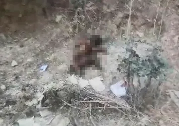 Bursa'da kan donduran vahşet! Yavru köpeği ayaklarını kesip yaktılar