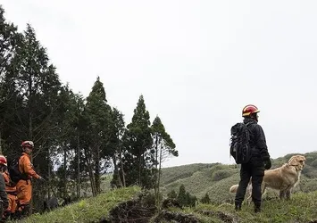 Japonya'da ceza için ormana bırakılan çocuk bulundu