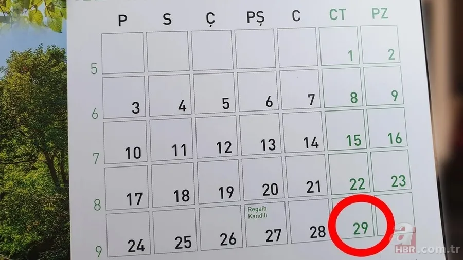 Artık yıl nedir, neden olur? 29 Şubat neden 4 yılda bir gelir? 4