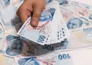 Herkese devletten sermaye