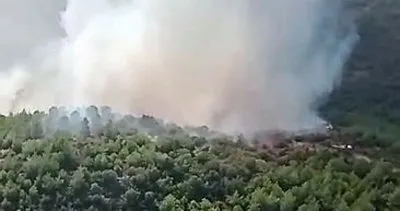İzmir'de korkutan orman yangını