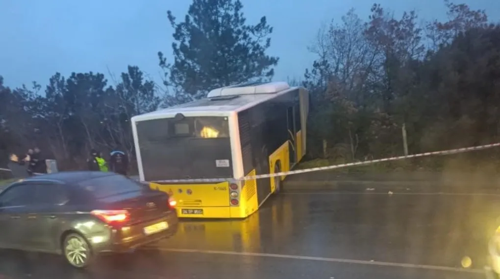 İETT otobüsü ormanlık alana uçtu