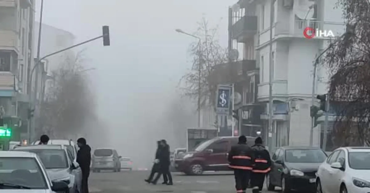 Ardahan’da soğuk hava ve sis etkili oluyor