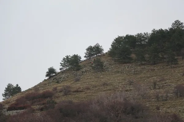 Isparta'da 13 gündür aranan Gülsüm Doğan'dan kötü haber! Cansız bedeni bulundu - 4