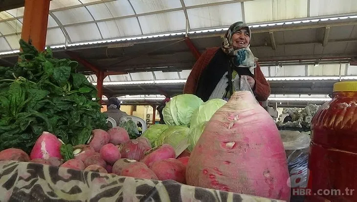 Patlıcan tohumu ekti hayatının şokunu yaşadı! Görenlerin ağzı açık kaldı... 8