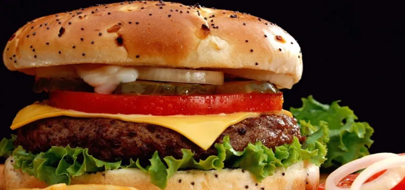 Avusturya'da soyadını değiştirene ömür boyu bedava hamburger