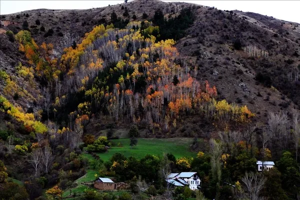 gumushane-ve-giresun-arasinda-sinirlar-degisti-referandum-sonrasi-karar-onaylandi-2-koy-34-yilin-ardindan-yer-1709719154505.jpg Gümüşhane ve Giresun arasında sınırlar değişti! Referandum sonrası karar onaylandı! 2 köy 34 yılın ardından yer değiştirdi...