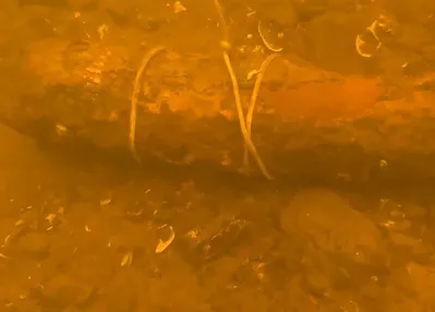 2. Dünya Savaşı’ndan kalma...