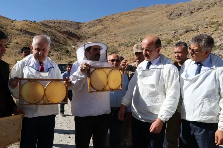 Verimli bal sezonu için şükür duasında arılar saldırdı - 1