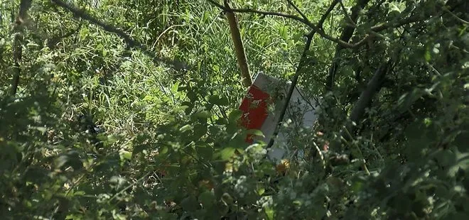 Bursa'da tarla kenarında karton kutuda bebek cesedi bulundu